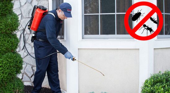 Kilimli Tahtakurusu İlaçlama böcek ilaçlama ve haşere kontrolü — ilaclama-tr.com